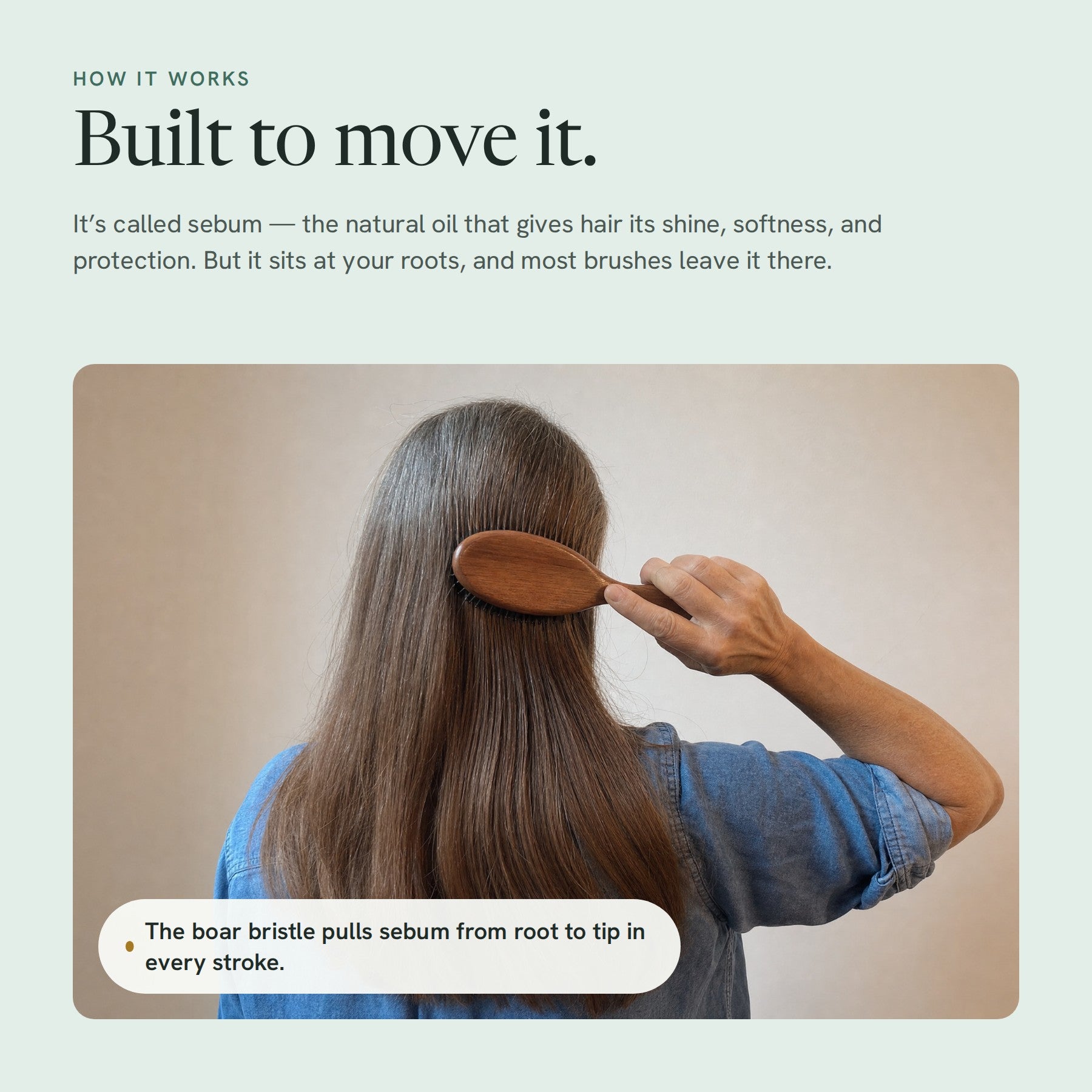 How it works: the boar bristle pulls sebum from root to tip in every stroke