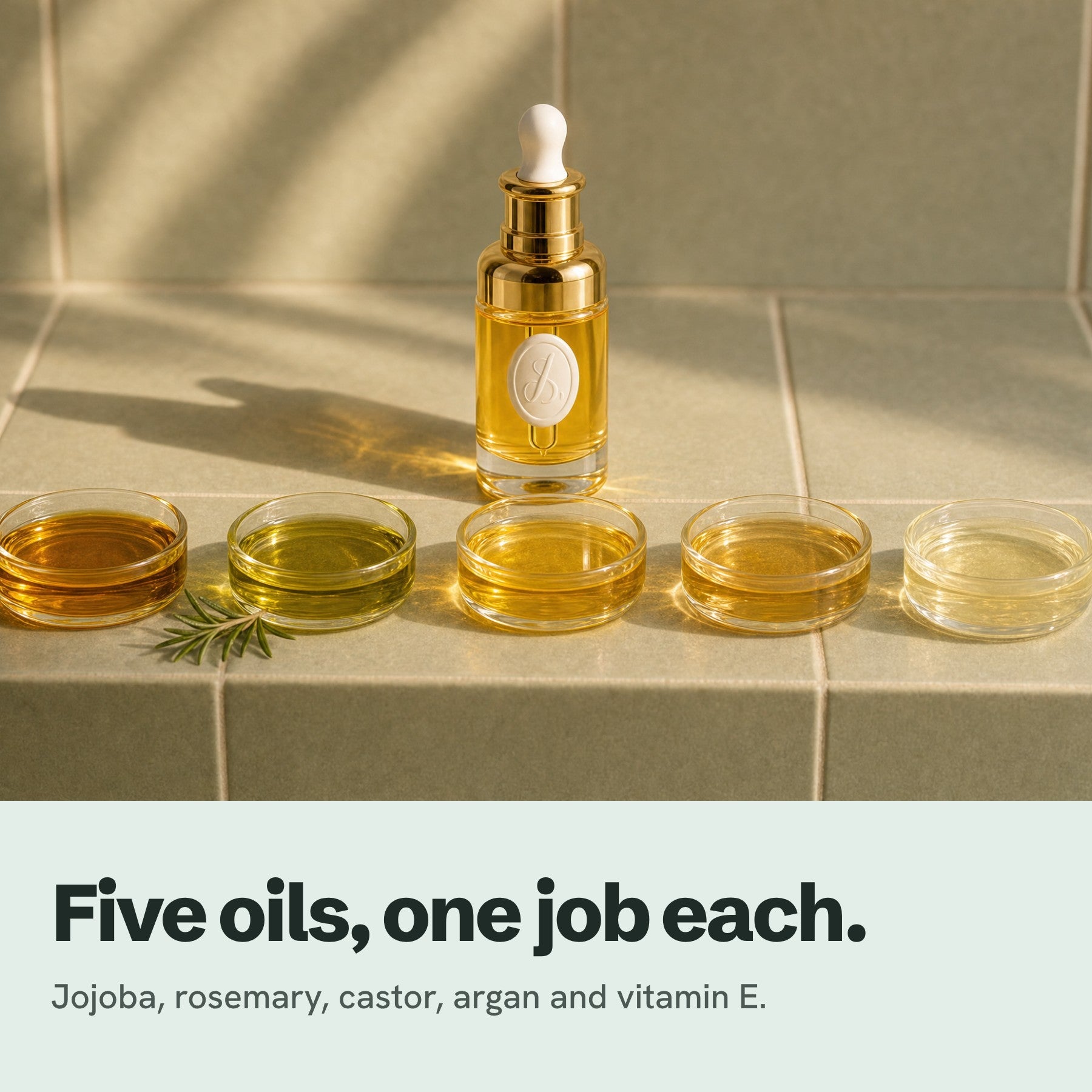 Five oils, one job each: Lumina Oil behind five dishes of jojoba, rosemary, castor, argan and vitamin E