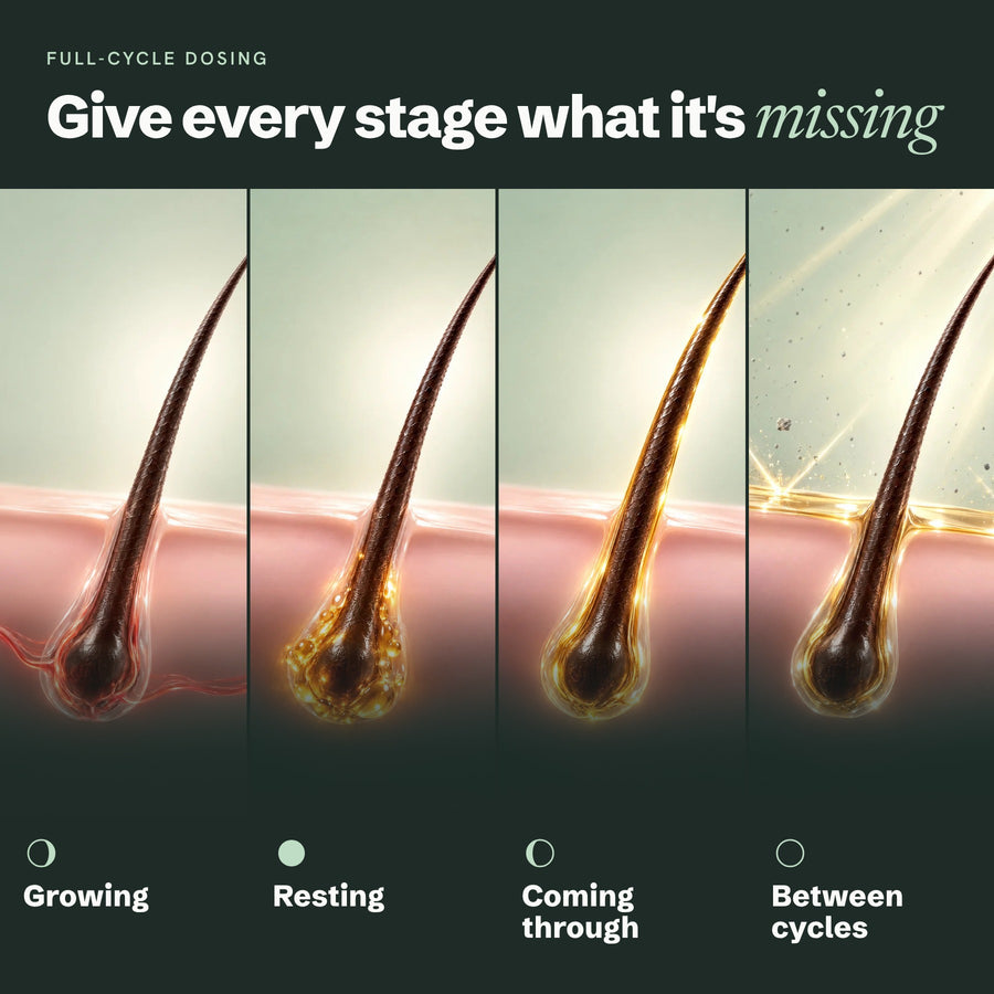 Full-cycle dosing: what Lumina gives each stage of the hair cycle
