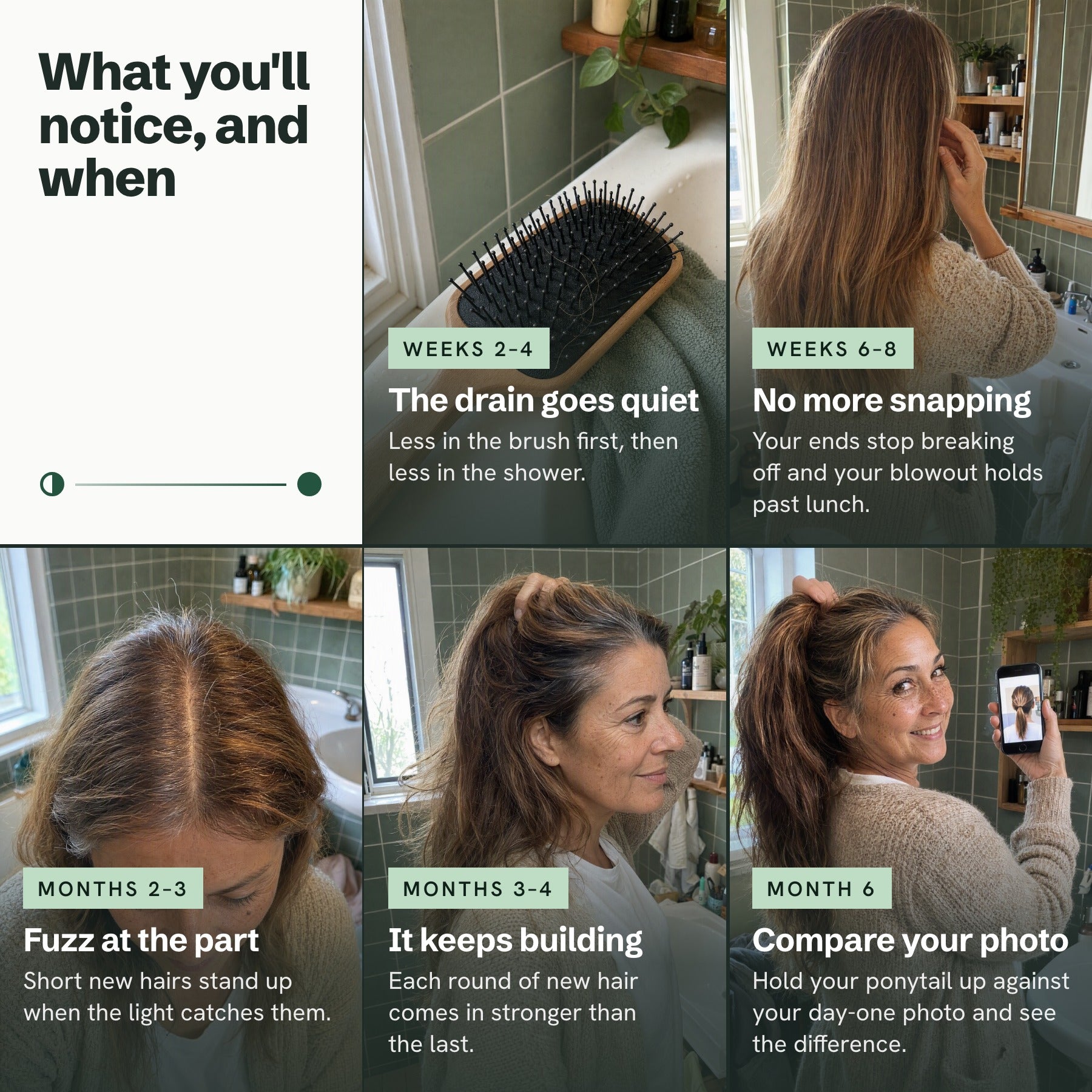 What you'll notice, and when: less shedding by weeks 2–4, new hairs by months 2–3, a visible difference by month 6
